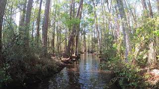 Creek riding with friends at Osceola National Forest (creek entry)