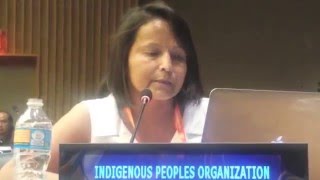 NAIPC Statement UNPFII Item 6: Interactive Dialogue