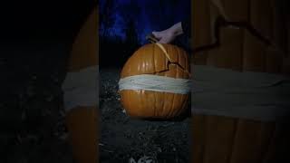 Trying to break a pumpkin with rubber bands.