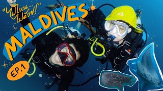 ไปไหน..ไปด้วย! Maldives Ep.1 Vlog สู้ชีวิต! แบงค์พิมฐาลุยดำน้ำพิชิตภารกิจตามล่าหาแมนต้าเรย์ [ENG CC]