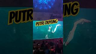 Atraksi Putri duyung di ancol dan Faktanya #facts #vlog