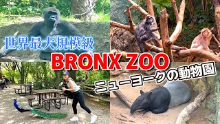 【世界最大級】BRONX ZOOに行ってみた！超癒された～！