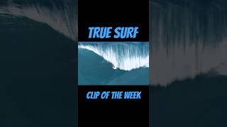 TRUE SURF OFFICIAL COW #surfing #surf #truesurf #surflessons #surfing #surfculture #surflife #gaming