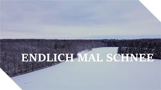 Wald und Schnee in Vorpommern ∷ Selten aber schön ❄️ Waldgeflüster