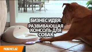 Бизнес идея консоль для развития собак.mp4