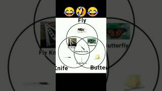 Cycle of Butter ➡️ Knife ➡️Fly funny 😂🤣😂 fake tweet#shorts #memes #quotes #faketweet