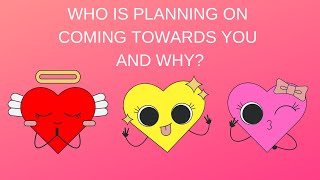 🌹💞🤔Who Is Planning On Coming Towards You & Why?🌹💞🤔Pick A Card Love Reading