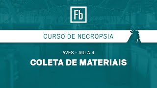 Aula 04 - Coleta de Materiais das Aves