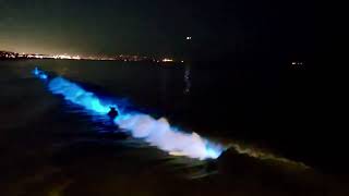 Southern California bioluminescence on ocean waves and surfers #4 #bioluminescence #surfers