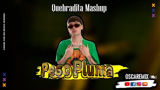 Peso Pluma  - Ella Baila Sola - Remix Quebradita #pesopluma #remixdj