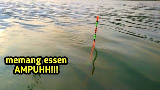 ESSEN NILA INI TERBUKTI AMPUH❗❗ || MANCING KARANGKATES