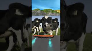 Curiosidades sobre las Vacas #datoscuriosos #animales #granja #vacas #curiosidades