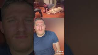 DOG TRAINING | TIKTOK