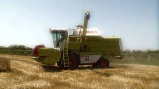 2011 - Búza aratás - Claas Dominator 108 and Belarus 820.1