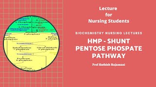 HMP Shunt or Pentose Phosphate Pathway