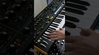 Moog muse and one