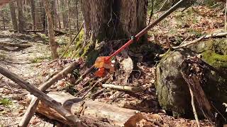 North country trail  Gull lake trail Adirondacks #nature #hiking #adk #nationalsenictrail