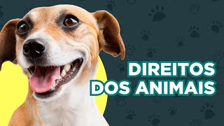 Informações a respeito do DIREITO dos animais!