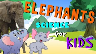 Elephants are the Largest Land Mammals | Science for Kids