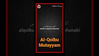 Al-Qolbu Mutayyam #sholawatmerdu #storywa #sholawatnabi #status #cintasholawat #liriklagu #doa