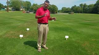 2017 NTEP Kentucky Bluegrass Test -  Rutgers 2020 Virtual Turfgrass Research Field Day