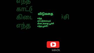 விடுகதை தமிழ் shorts