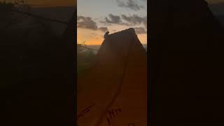 Cat walks on the roof while watching the sunset in Bali Indonesia🇮🇩