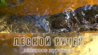 ЛЕСНОЙ РУЧЕЙ. Успокаивающий звук. Ласковое журчание / @RATiANA