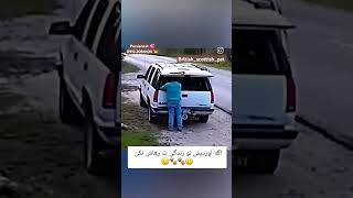 حیوان ها احساس دارند لطفا حیوان خانگی تونو رهاسازی نکنید چون بلافاصله تلف میشند #گربه_خانگی#سگ