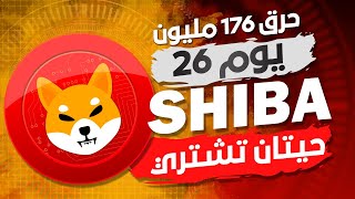 🔥حرق 176 مليون من عمله شيبا بعد يومين 🔥حفله حرق لجيش الشيبا وحيتان تشتري