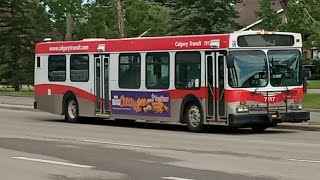 Calgary Transit 2002 New Flyer D40LF #7817 on Route 56 Woodbine