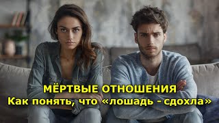 МЁРТВЫЕ ОТНОШЕНИЯ  Как понять, что «лошадь — сдохла»