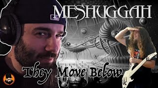 Meshuggah - They Move Below REACTION