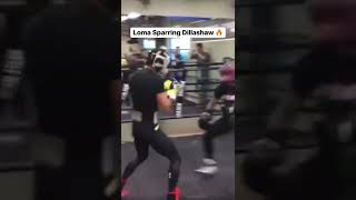 Loma sparring 🔥