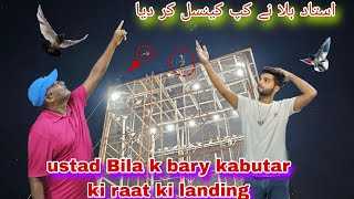 ustad Bila k bary kabutar ki raat ki landing 6:24 cup cancel kr deya uatad Bila ny 17 wala