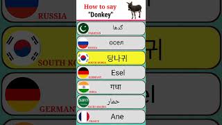 "Donkey" Name From 21 Different Countries