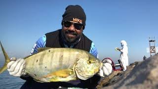 FISHING DUDE   FISHING VLOG 5 | GOLDEN TREVALLY FISH CATCHING | SHORE FISHING | AJMAN |