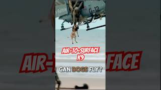 DOG Attack from Above! Tactical Police Dog NAILS suspect!