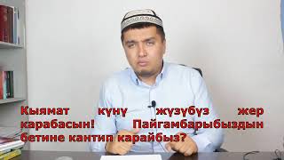 ТАЖИКТЕР ГЕ ТАЖИК ТИЛИ МЕНЕН КАЙРЫЛУУ ЖАСАДЫ ТАРАТЫП КОЮНУЗДАР