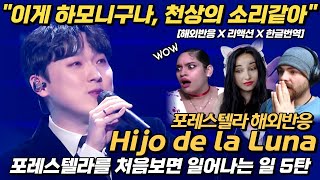 "이건 천상의 소리다!" 포레스텔라 hijo de la luna 해외반응 리액션 한글자막 스페인반응