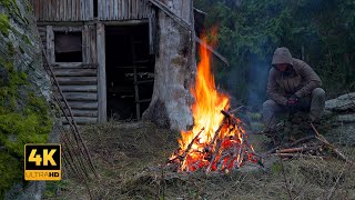 4K 📺 Forest campfire at an abandoned cabin 🌲 Sounds of the Forest and Fire 🎙️ASMR