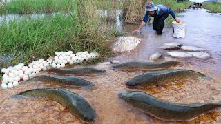 Top fishing 2025, Best hand fishing, a fisherman catch fish by best hand