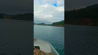 Bora atrás das bocudas , represa de Paraibuna #pescaria#represa  #tilapia #tucunare