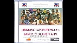 Liberian party hitz Vol. 3(LME V3) By DJ Ant Flahn 2014 Afrobeats, They Vex DenG