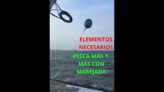 🎣Pesca en Marejada🌊 con ESTE TRUCO: ¡3 Sorprendentes Capturas!