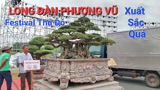 CHIÊM NGƯỠNG vẻ đẹp ẤN TƯỢNG của TP LONG ĐÀN PHƯỢNG VŨ tại Festival THỦ ĐÔ 2024 .