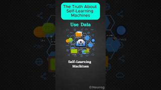 The Truth About Self Learning Machines!