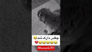 سلام دوستان من برگشتم با کلی کلیپ باحال لایک و سابسکرایب یادتون نره عشقای من #طنز #funny #shortvideo