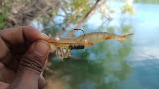 Este señuelo no puede faltar en tu caja || pesca de robalos con camarón artificial ||