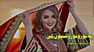 Pa Toro Toro Shpo ke Pashto New Songs_Slowed Reverb | pashto new songs | @Chicks4kids